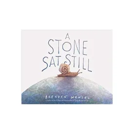 A Stone Sat Still by Brendan Wenzel [Hardcover] - Ripped Dust Jacket