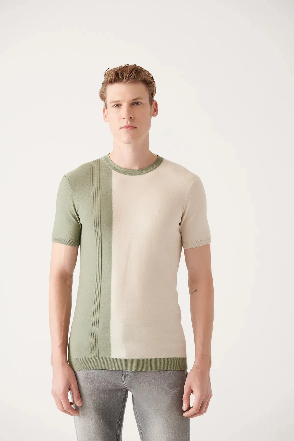 Avva Men's Water Green Crew Neck Color Block Ribbed Standard Fit Normal Cut Knitwear T-shirt