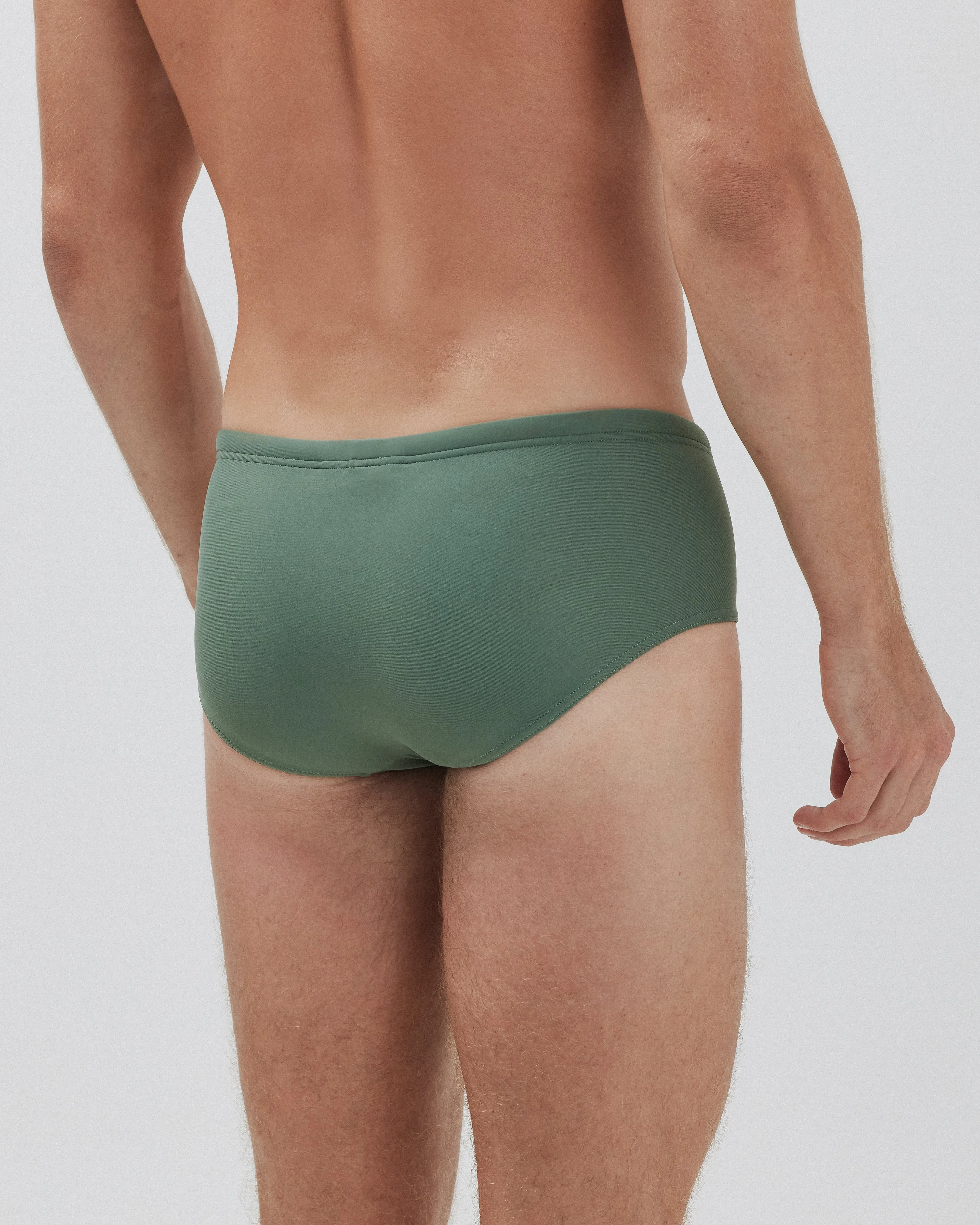 SALVIA BRIEFS